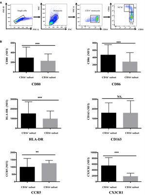 CD16+ Monocyte Subset Was Enriched and Functionally Exacerbated in Driving T-Cell Activation and B-Cell Response in Systemic Lupus Erythematosus